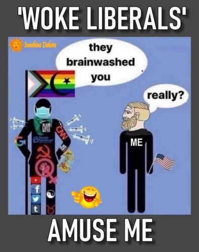 woke liberals