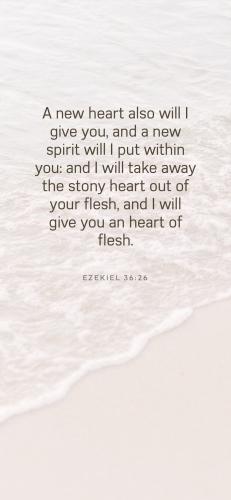 E869750D-D5C9-4EE1-9B0C-6B82F1DA76C1