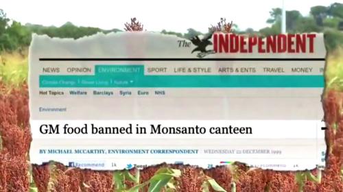 GMO Food Banned in Monsanto Canteen