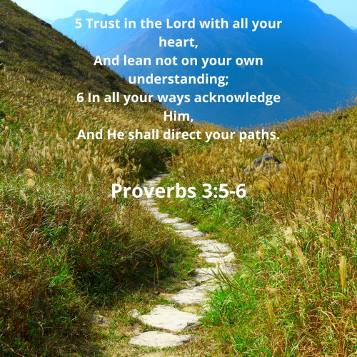 86EDD16008DDF0AAA56930C04DBEDE21.bible112-min
