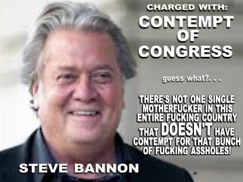 bannon on contempt