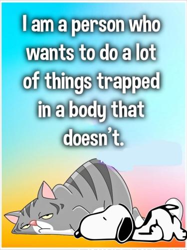 906874B3-56C5-49BF-91EA-48A91138110D