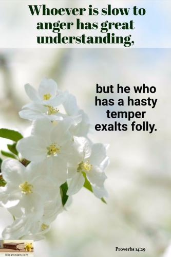 461dba581491e3b4e7aff9ac982eb9ff--proverbs--royals