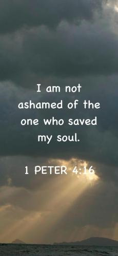 25B7A7B5-7F4D-4B0F-B5BE-7463A4C628FE