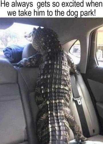 FB_IMG_1659021125123