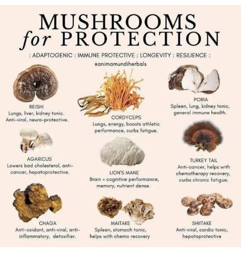 IMG_20220729_100805_217