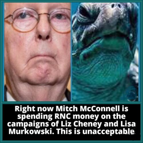 F516ACEF-DE06-4FE3-A160-157E3E0080DF