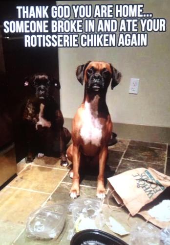 6E9877A8-DA0E-41F1-AAF9-5CA890F49AE5