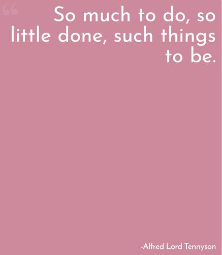 1A33CE79-11FC-4922-B626-48F8831209CF