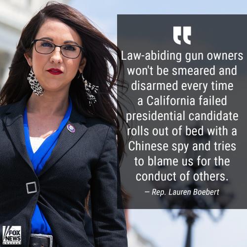 Gun Owners