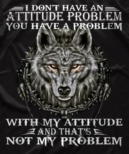 Attitude Problem - Not my problem
