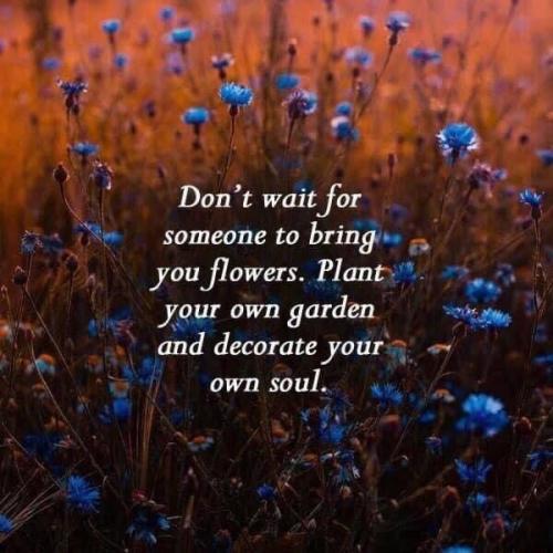 1004BF78-0383-41C3-9DB9-495EAF998EB5