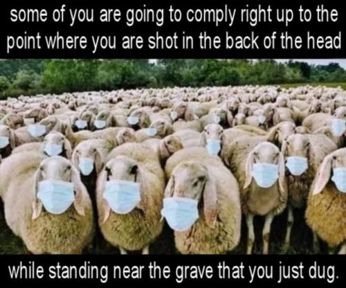 f8f89296-c64f-4646-8bc6-7985ed96e15e