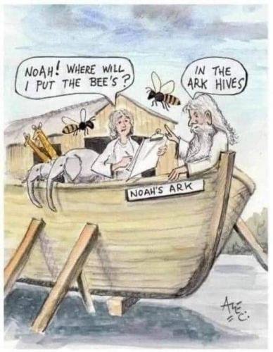 FB_IMG_1659021129614