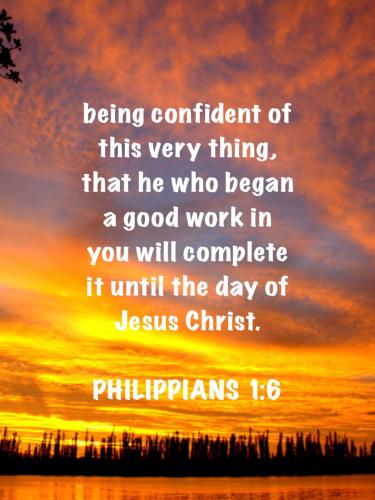 3635680A-82A3-4C91-A84E-BEF5A208F904