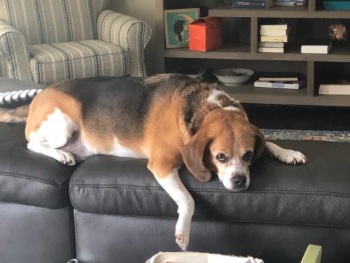 drawmelikeoneofyourfrenchgirls