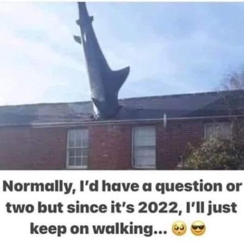 FB_IMG_1658869928153