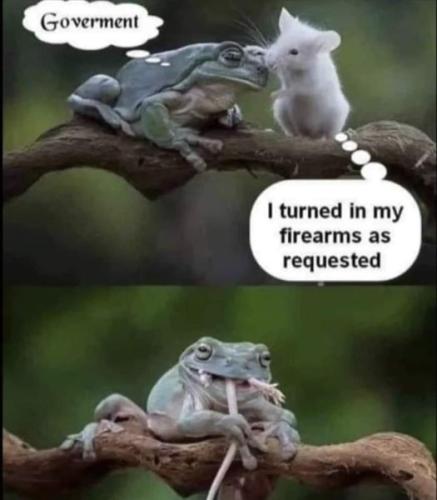 295831556_2493168854156463_6911125212189933945_n