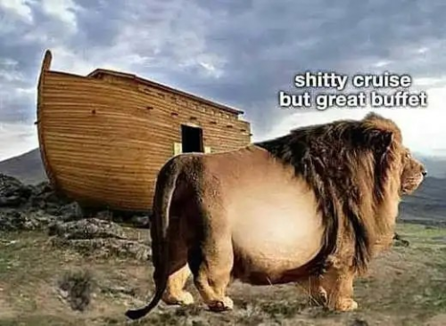 shittycruise