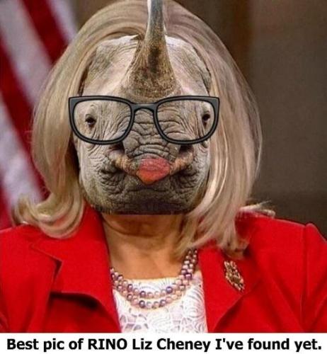 Rino Liz
