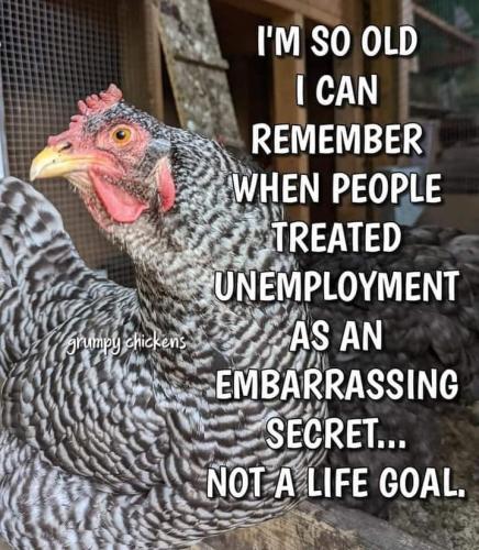 FB_IMG_1658422267202