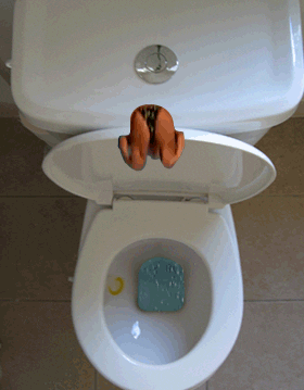 Toilet Driver