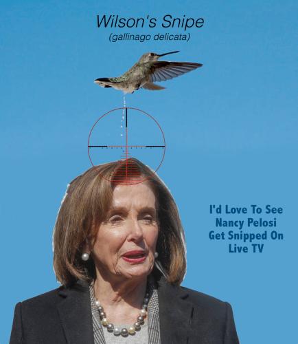 ropelosi snipe