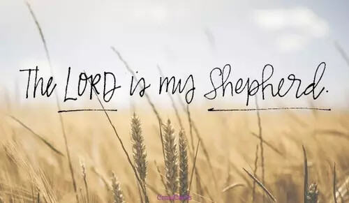 46814-lord-shepherd.1100w.tn