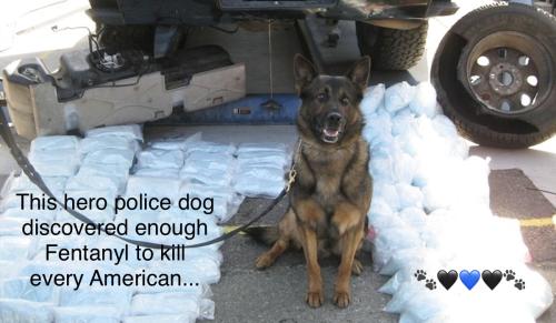 095CA03F-94FB-477E-9767-DC95665BF7B6