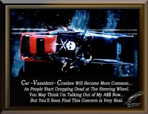 Car ~Vaxxident~ Crashes