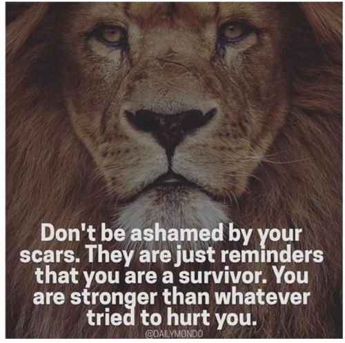 3242f175-269c-40dc-aa61-7f4acbfb795a