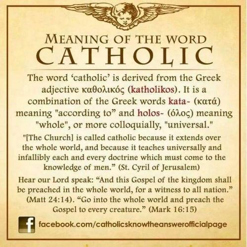 FB_IMG_1657464585821