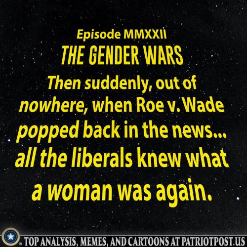 libs remember women