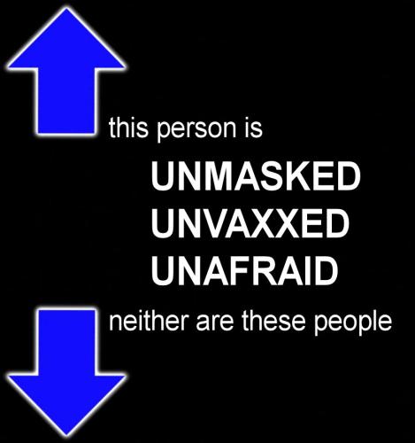 1bc97eae9a3b0f75e88ab57b3753eeb6_1024
