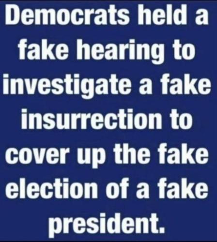 Fake, Fake     (maga)