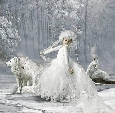 FB_IMG_1444998440994