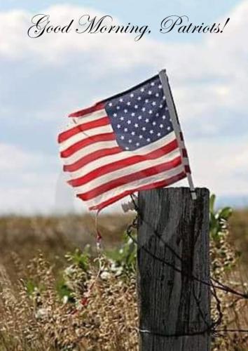 3aa34871ee6c66640120e1a232b8260b_1024