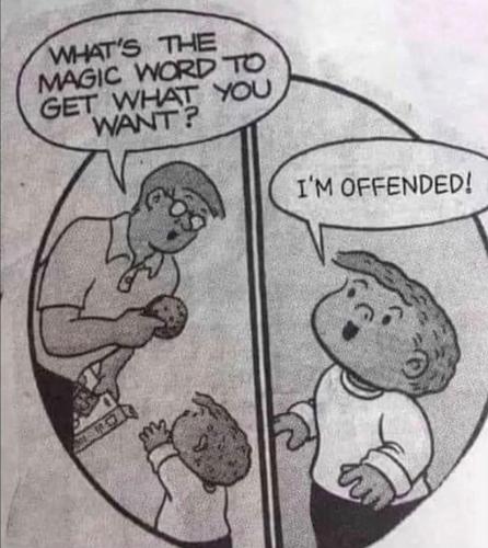 Left wing Liberals