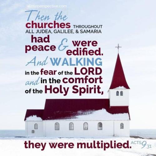 293312157_10159629875980709_3028398556874957457_n