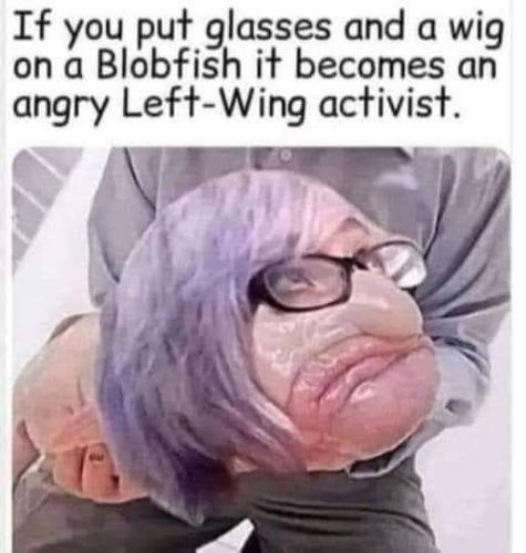 FB_IMG_1656865528846