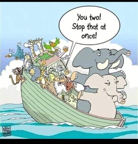 FB_IMG_1657577111361