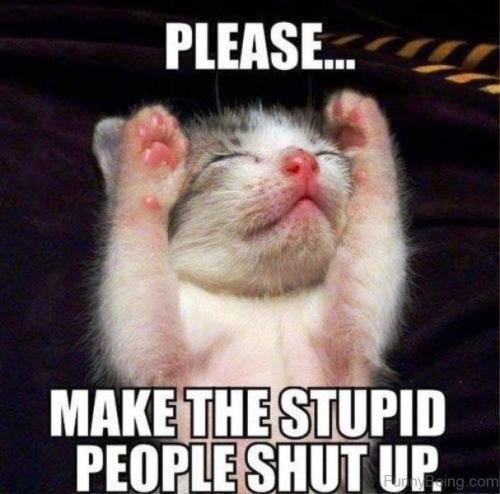 Please make the stupid people shut up