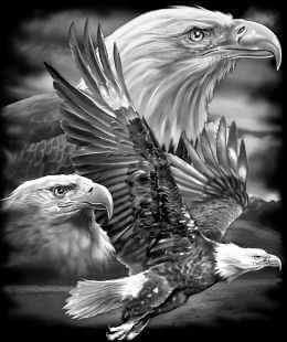 FB_IMG_1443647909184