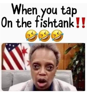 tga0
