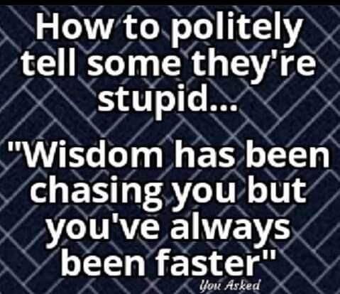 Wisdom