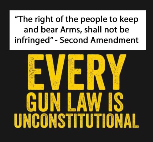 USA gun laws