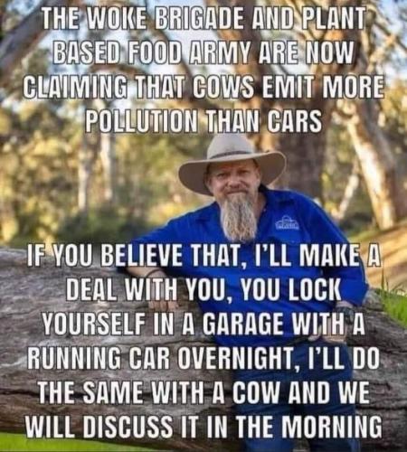 My bet is on the cow