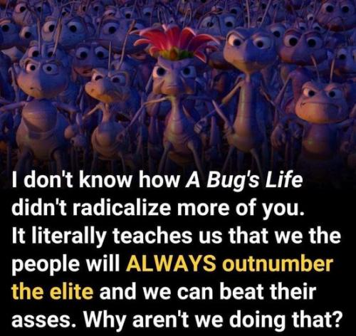 i dont know how a bugs life