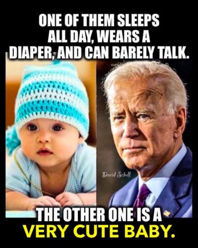 2951503D-113C-497D-8021-1596BA1F0A41