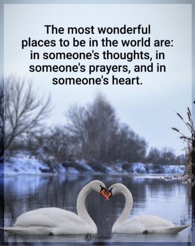 A826718D-A5F4-4D88-ABF5-DCFB83211601